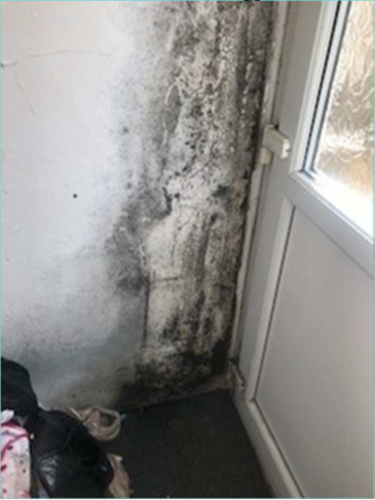 Picture of damp in property