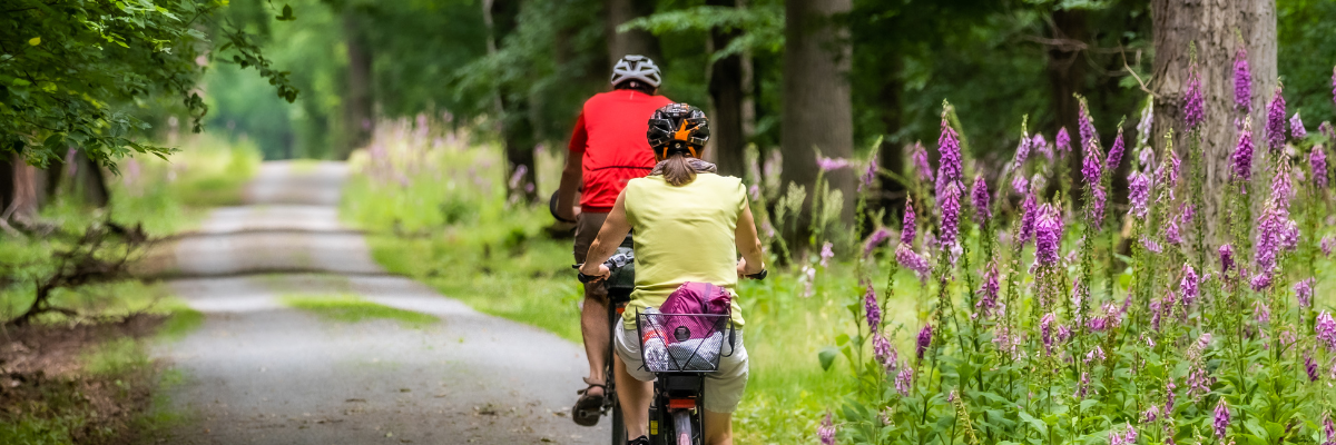 Cycle Leicester Banner Image (1)